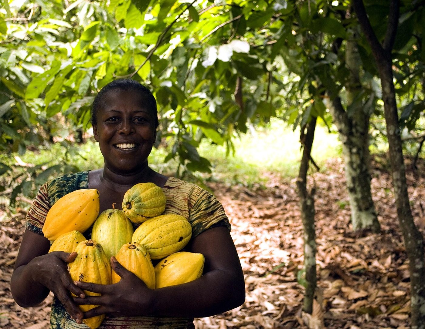 Productrice présentant des cabosses de cacao dans une plantation